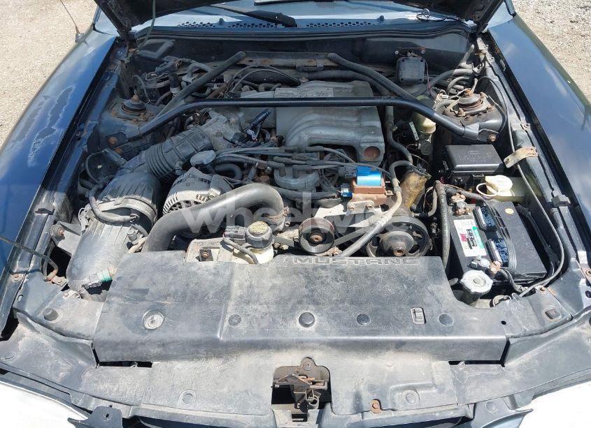 Photo 10 of 1995 Ford Mustang GT/GTS (VIN 1FALP42T5SF144091)