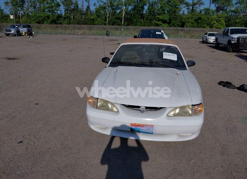 Photo 6 of 1995 Ford Mustang (VIN 1FALP4442SF243571)