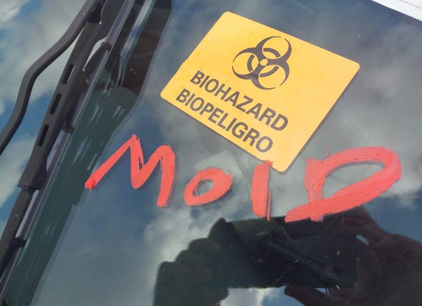 Photo 14 of 1995 Ford Mustang GT/GTS (VIN 1FALP45T6SF140143)