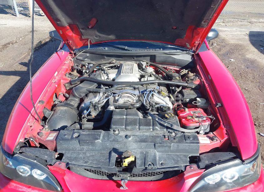 Photo 10 of 1997 Ford Mustang COBRA (VIN 1FALP46V2VF164153)