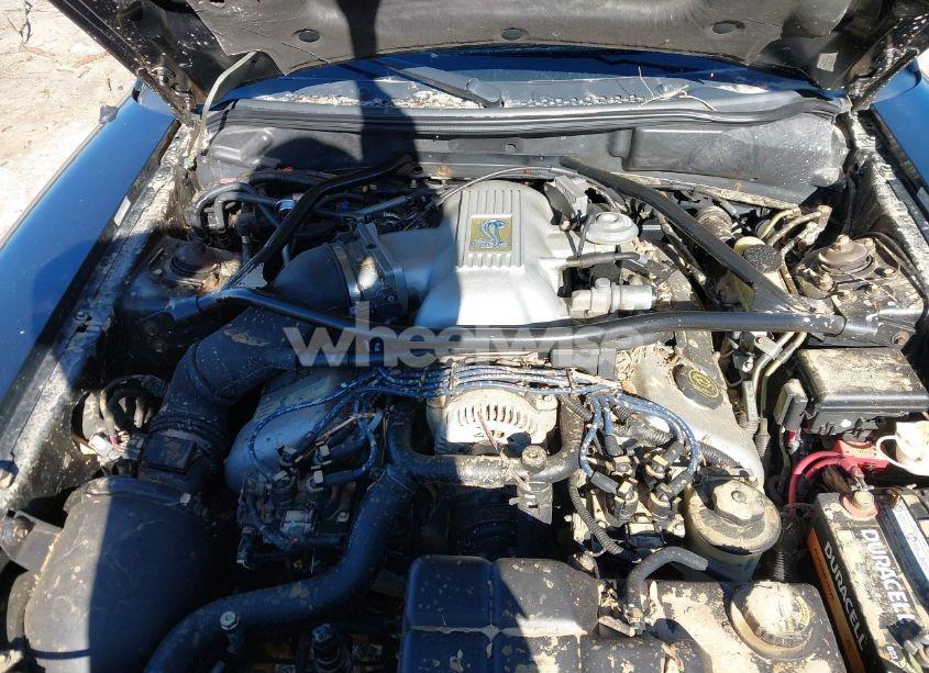 Photo 10 of 1997 Ford Mustang COBRA (VIN 1FALP46V7VF151981)