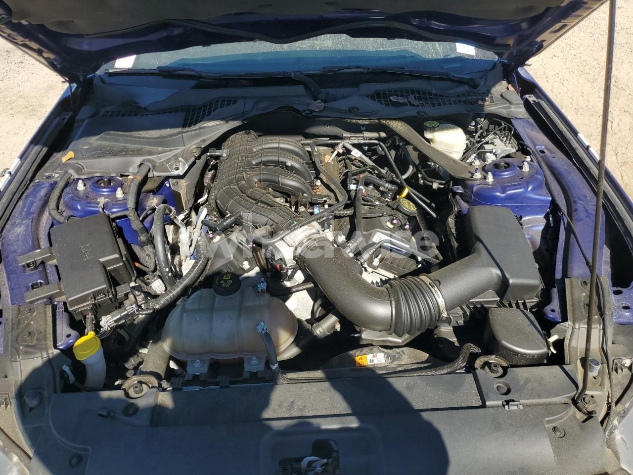 Photo 11 of 2015 FORD MUSTANG (VIN 1FATP8EM0F5335344)