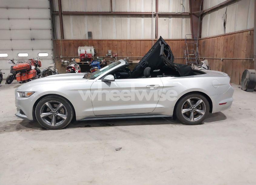 Photo 14 of 2016 Ford Mustang V6 (VIN 1FATP8EM2G5216177)