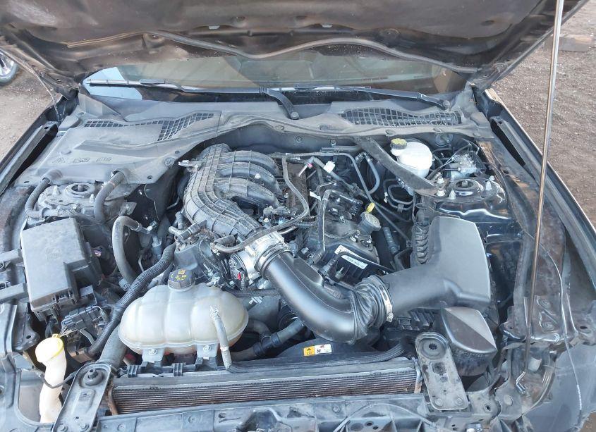 Photo 10 of 2017 Ford Mustang V6 (VIN 1FATP8EM5H5320101)