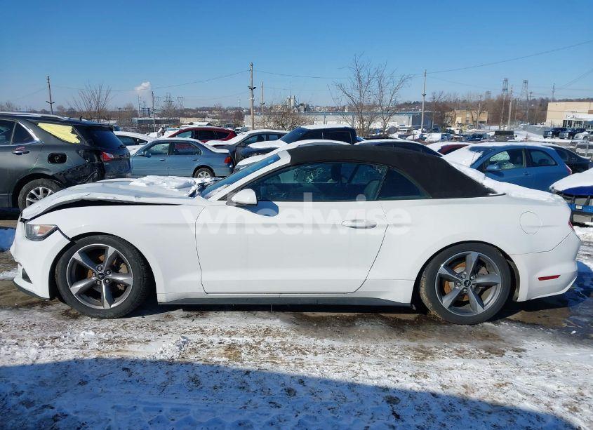 Photo 13 of 2015 Ford Mustang V6 (VIN 1FATP8EM7F5372293)