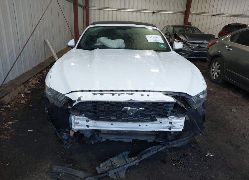 Photo 12 of 2015 Ford Mustang V6 (VIN 1FATP8EMXF5359697)