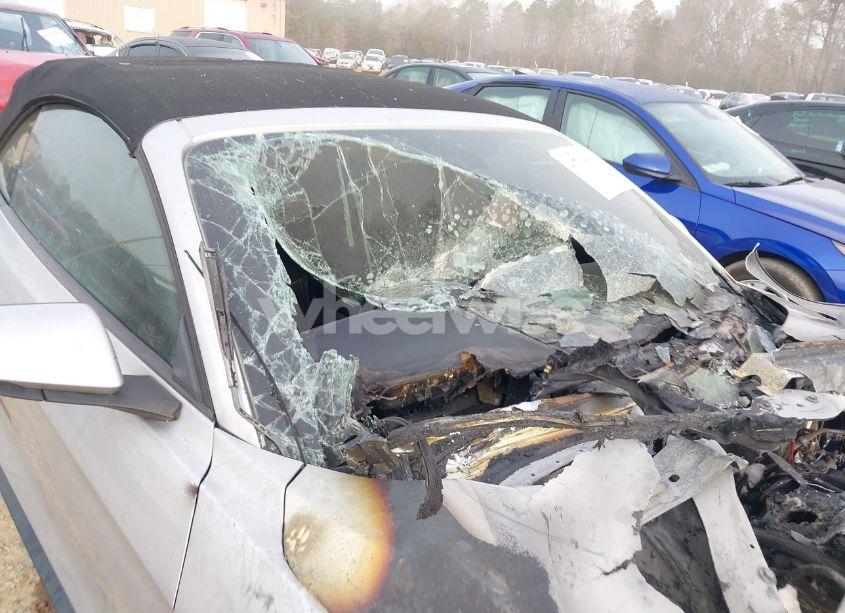 Photo 13 of 2019 Ford Mustang GT PREMIUM (VIN 1FATP8FF0K5126017)