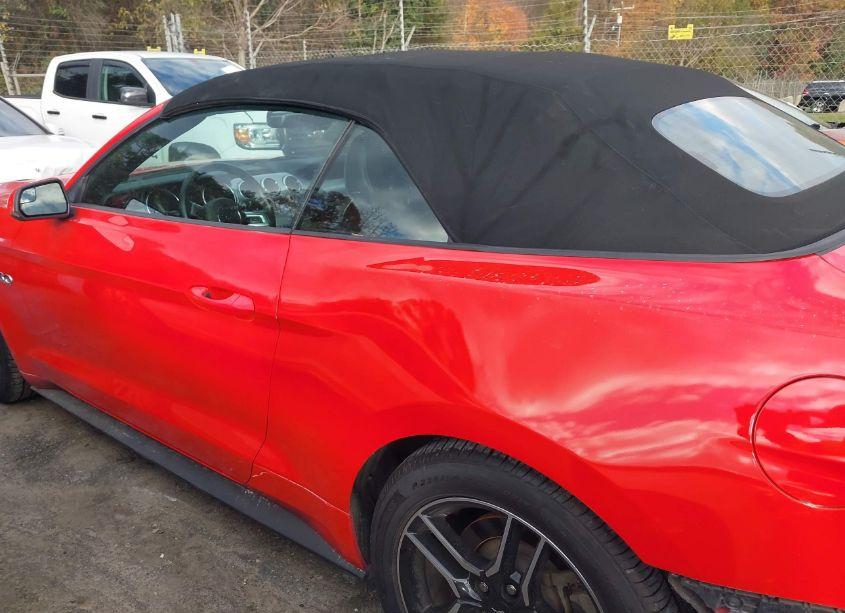 Photo 14 of 2019 Ford Mustang GT PREMIUM (VIN 1FATP8FF1K5162539)