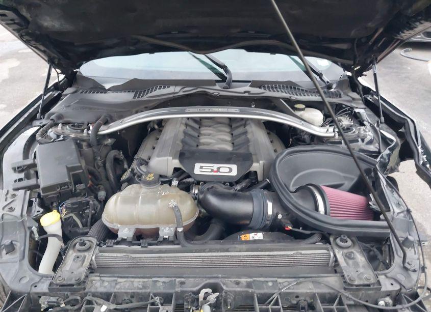 Photo 10 of 2016 Ford Mustang GT PREMIUM (VIN 1FATP8FF2G5202487)