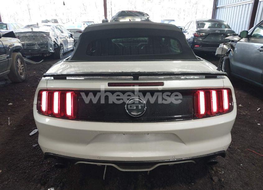 Photo 16 of 2017 Ford Mustang GT PREMIUM (VIN 1FATP8FF6H5234456)