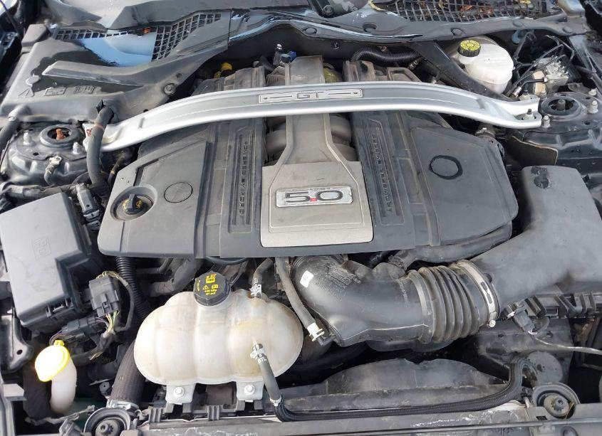 Photo 10 of 2019 Ford Mustang GT PREMIUM (VIN 1FATP8FF6K5109173)