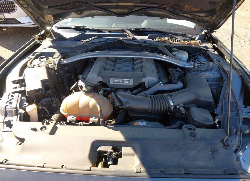 Photo 10 of 2015 Ford Mustang GT PREMIUM (VIN 1FATP8FFXF5331754)