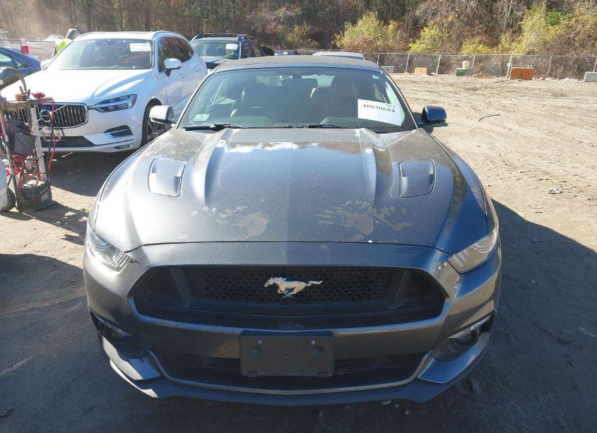 Photo 12 of 2015 Ford Mustang GT PREMIUM (VIN 1FATP8FFXF5331754)