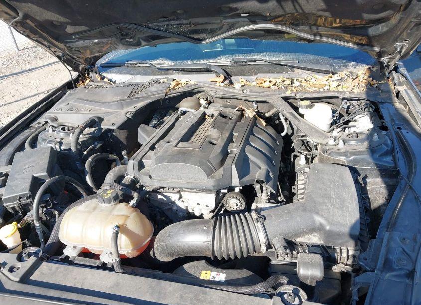 Photo 10 of 2017 Ford Mustang ECOBOOST PREMIUM (VIN 1FATP8UH0H5245280)