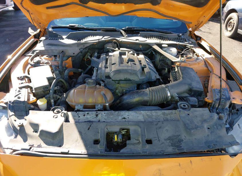 Photo 10 of 2019 Ford Mustang ECOBOOST PREMIUM (VIN 1FATP8UH0K5112784)