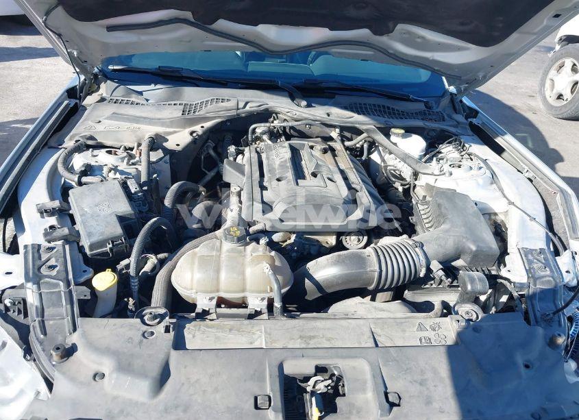 Photo 10 of 2019 Ford Mustang ECOBOOST PREMIUM (VIN 1FATP8UH0K5148555)