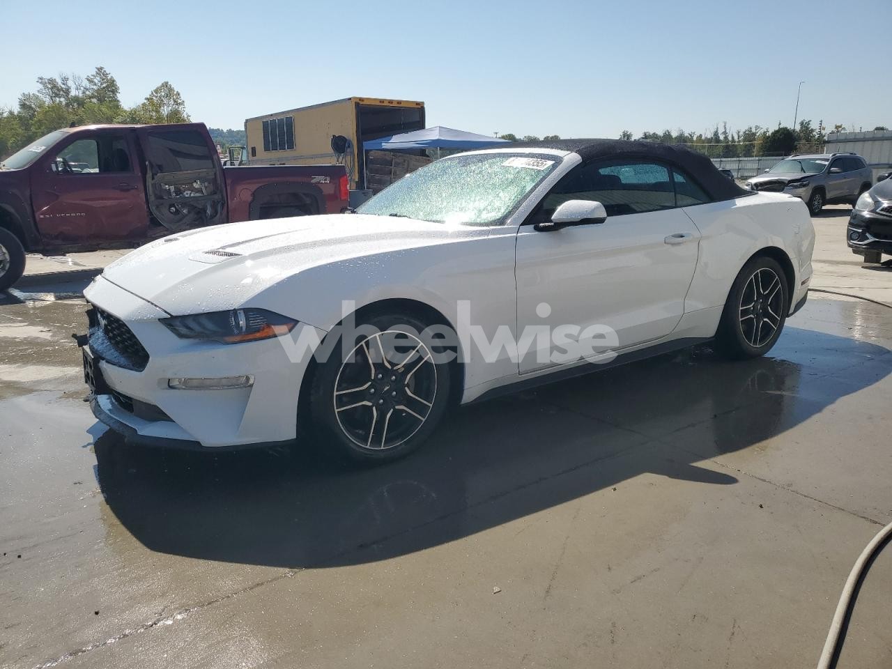 2019 FORD MUSTANG (VIN 1FATP8UH0K5170720) main photo