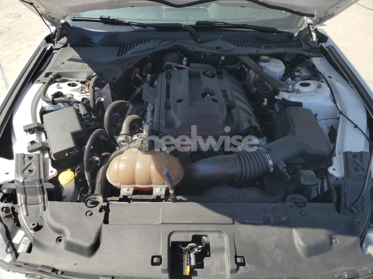 Photo 11 of 2019 FORD MUSTANG (VIN 1FATP8UH0K5170720)