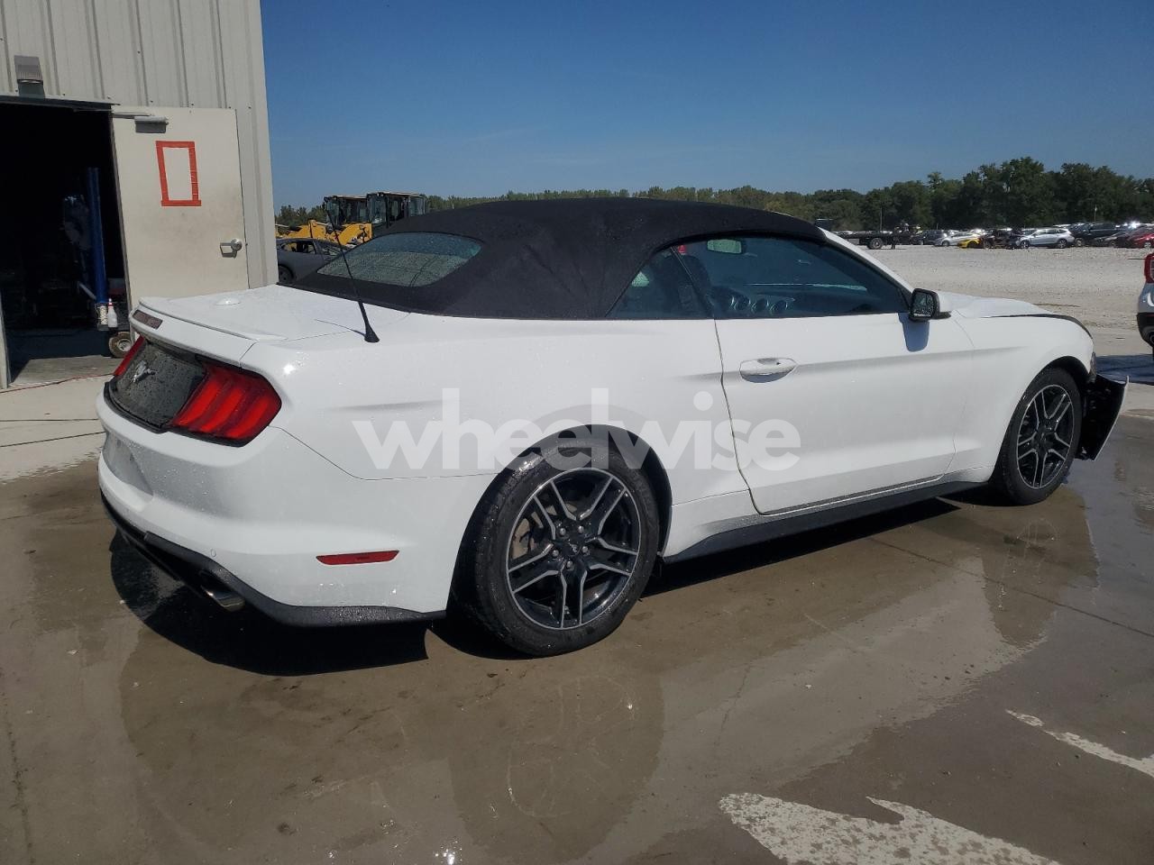 Photo 3 of 2019 FORD MUSTANG (VIN 1FATP8UH0K5170720)