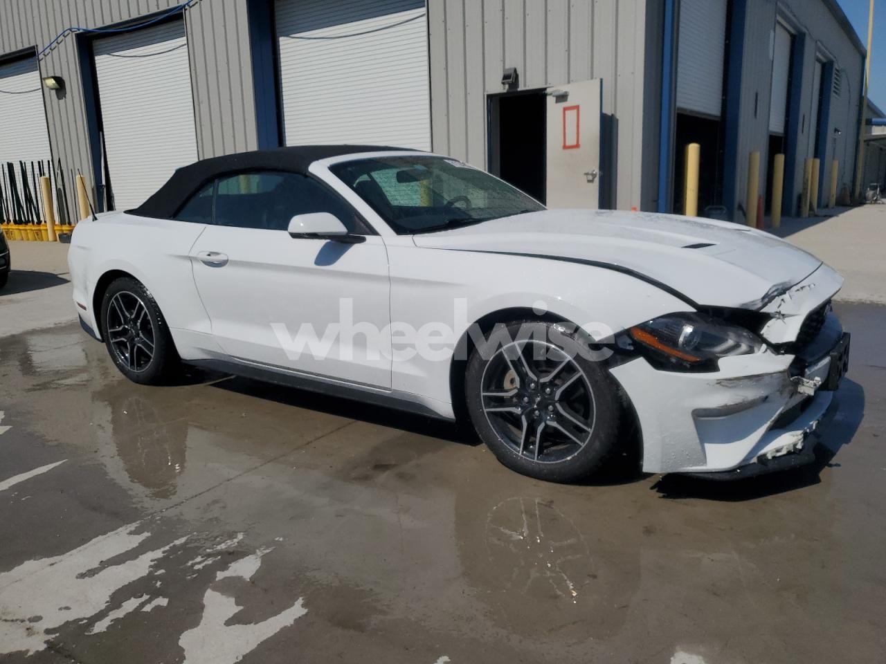 Photo 4 of 2019 FORD MUSTANG (VIN 1FATP8UH0K5170720)