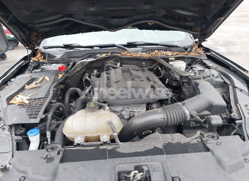 Photo 10 of 2020 Ford Mustang ECOBOOST (VIN 1FATP8UH0L5153790)