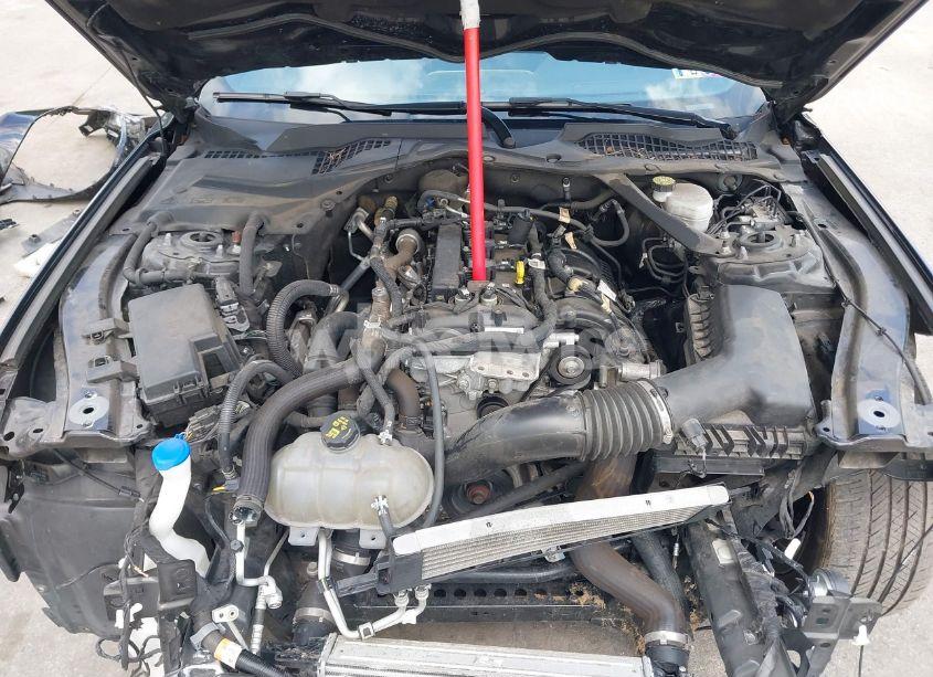 Photo 10 of 2021 Ford Mustang ECOBOOST PREMIUM (VIN 1FATP8UH0M5106101)