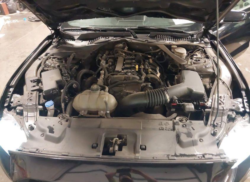 Photo 10 of 2022 Ford Mustang ECOBOOST PREMIUM (VIN 1FATP8UH0N5104012)