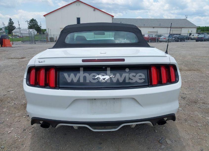 Photo 16 of 2017 Ford Mustang ECOBOOST PREMIUM (VIN 1FATP8UH1H5273251)