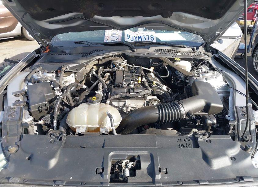 Photo 10 of 2021 Ford Mustang ECOBOOST PREMIUM (VIN 1FATP8UH1M5122470)