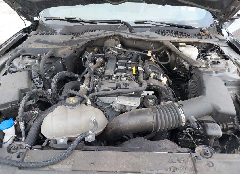 Photo 10 of 2022 Ford Mustang ECOBOOST PREMIUM (VIN 1FATP8UH1N5100535)