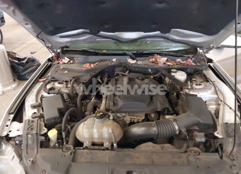 Photo 10 of 2019 Ford Mustang ECOBOOST PREMIUM (VIN 1FATP8UH2K5138609)