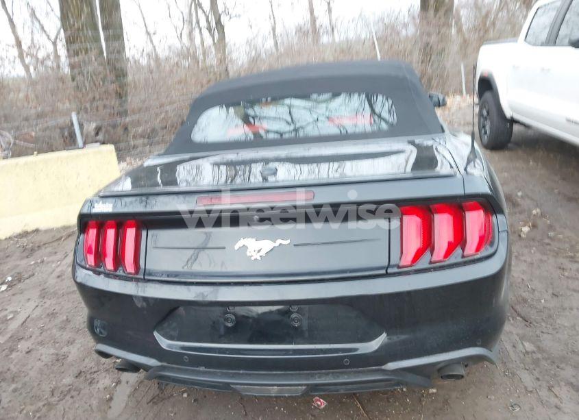 Photo 16 of 2019 Ford Mustang ECOBOOST PREMIUM (VIN 1FATP8UH2K5159850)