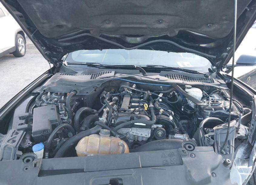 Photo 10 of 2020 Ford Mustang ECOBOOST PREMIUM (VIN 1FATP8UH3L5139706)