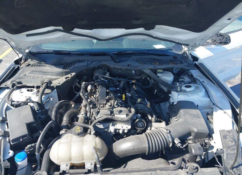 Photo 10 of 2022 Ford Mustang ECOBOOST PREMIUM (VIN 1FATP8UH3N5101914)