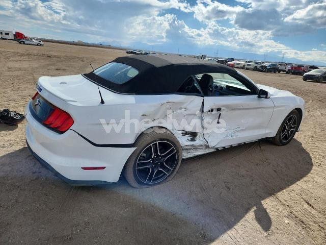 Photo 14 of 2022 FORD MUSTANG (VIN 1FATP8UH3N5120205)
