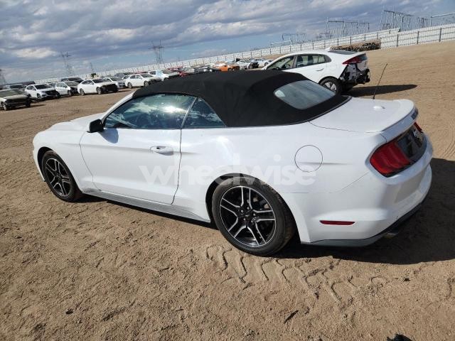 Photo 9 of 2022 FORD MUSTANG (VIN 1FATP8UH3N5120205)