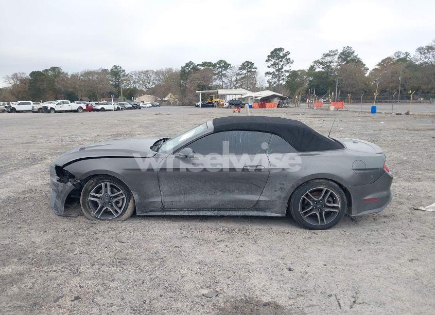 Photo 14 of 2019 Ford Mustang ECOBOOST (VIN 1FATP8UH4K5112819)