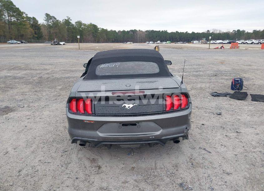 Photo 16 of 2019 Ford Mustang ECOBOOST (VIN 1FATP8UH4K5112819)