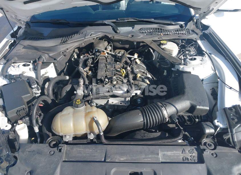 Photo 10 of 2019 Ford Mustang ECOBOOST PREMIUM (VIN 1FATP8UH4K5150468)