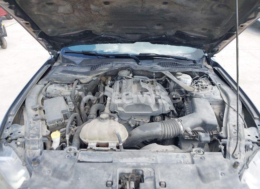 Photo 10 of 2019 Ford Mustang ECOBOOST PREMIUM (VIN 1FATP8UH4K5161454)