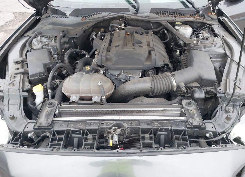 Photo 10 of 2019 Ford Mustang ECOBOOST PREMIUM (VIN 1FATP8UH4K5181588)