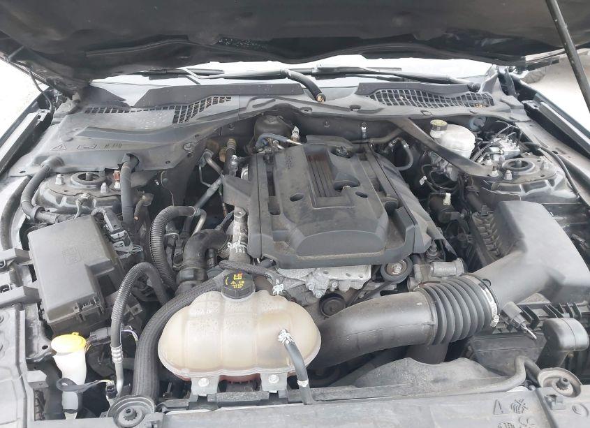 Photo 10 of 2020 Ford Mustang ECOBOOST PREMIUM (VIN 1FATP8UH4L5106052)