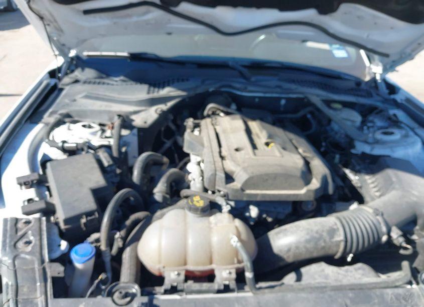 Photo 10 of 2020 Ford Mustang ECOBOOST PREMIUM (VIN 1FATP8UH4L5119089)