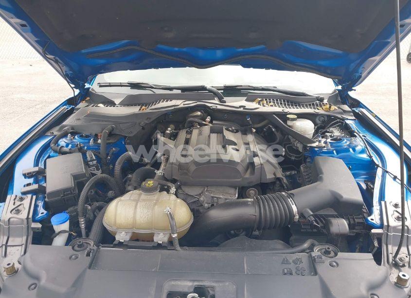 Photo 10 of 2020 Ford Mustang ECOBOOST PREMIUM (VIN 1FATP8UH4L5138001)