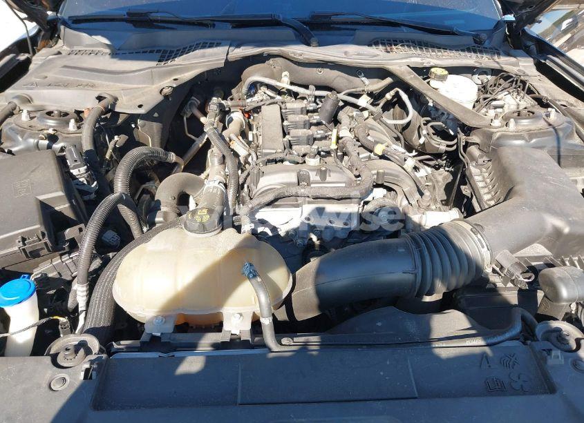 Photo 10 of 2021 Ford Mustang ECOBOOST PREMIUM (VIN 1FATP8UH4M5116114)