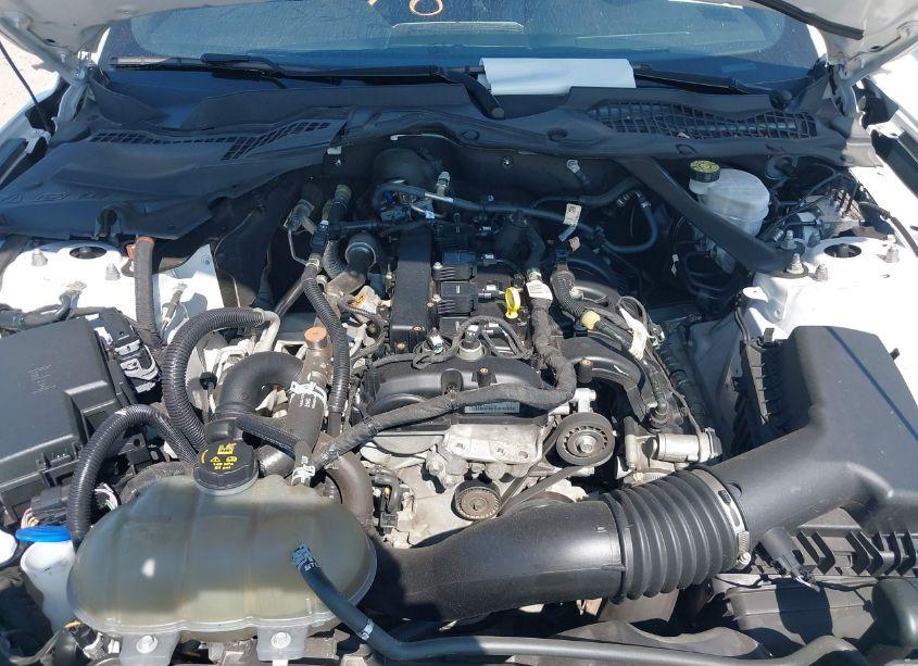 Photo 10 of 2021 Ford Mustang ECOBOOST PREMIUM (VIN 1FATP8UH4M5124312)