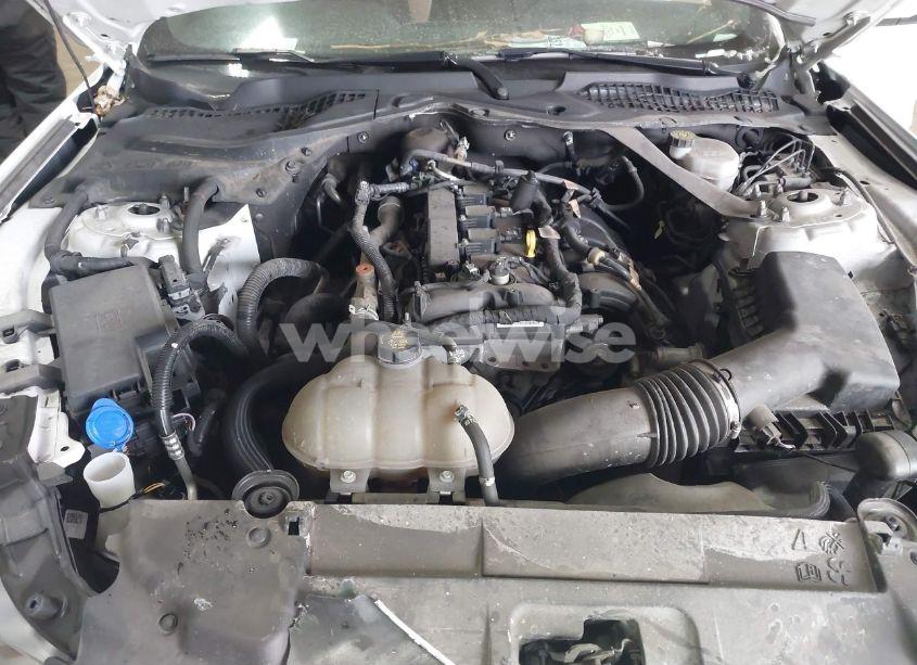 Photo 10 of 2021 Ford Mustang ECOBOOST PREMIUM (VIN 1FATP8UH4M5138923)