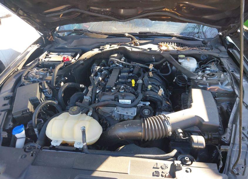 Photo 10 of 2022 Ford Mustang ECOBOOST PREMIUM (VIN 1FATP8UH4N5130421)