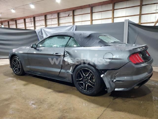 2023 FORD MUSTANG (VIN 1FATP8UH4P5103271) main photo