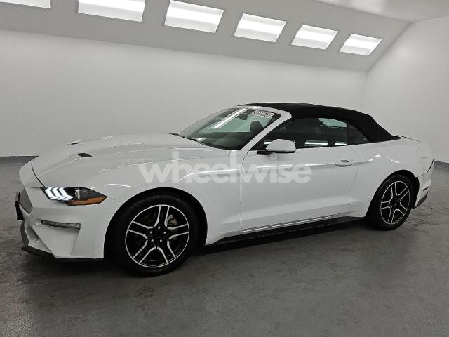 Photo 3 of 2023 FORD MUSTANG (VIN 1FATP8UH4P5104050)